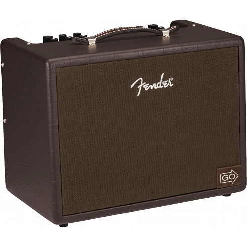 Fender Acoustic JR Go