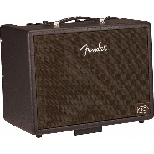 Fender Acoustic JR Go
